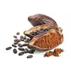 Какао порошок натуральний Mondelez (жирність 10-12%)